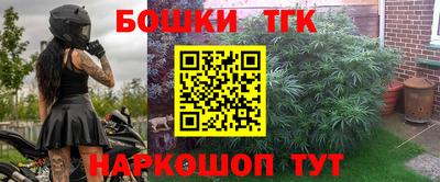 прущие грибы Новозыбков