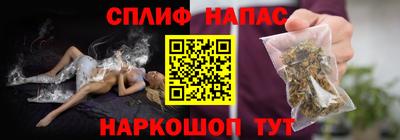 прущие грибы Новозыбков
