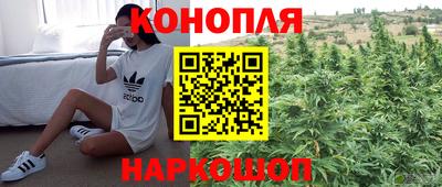 прущие грибы Новозыбков