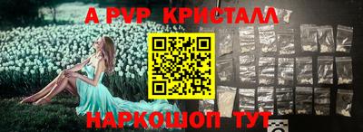 прущие грибы Новозыбков