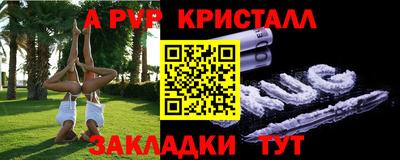 прущие грибы Новозыбков